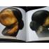 BRANCUSI - album de Radu Varia - in limba engleza - Rizzoli New York BRANCUSI - album de Radu Varia - in limba engleza - Rizzoli New York